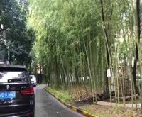 绿野香舟(别墅) 