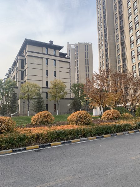 大运河孔雀城时代锦悦
