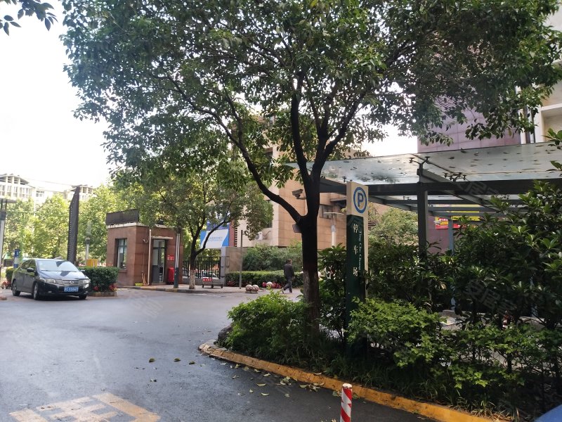 康城逸树(公寓住宅),牡丹大道237号-洛阳康城逸树(公寓住宅)二手房