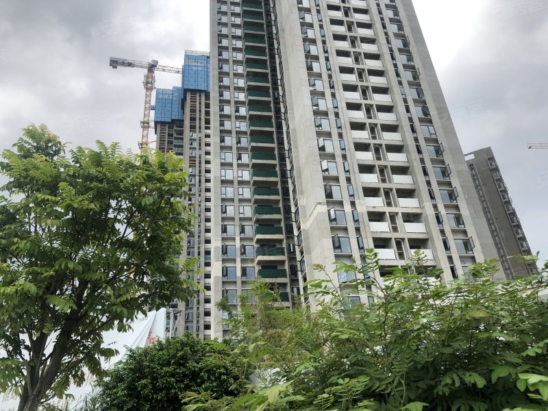 越秀天樾湾,彩虹大道-中山越秀天樾湾二手房,租房,房价-中山安居客