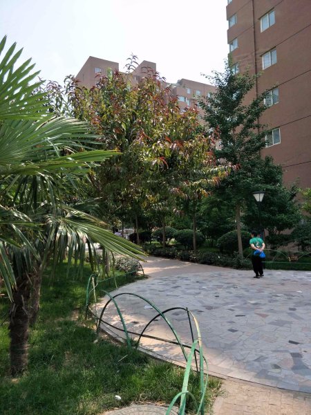 泰和苑(金水),丰庆路68号-郑州泰和苑(金水)二手房,租房,房价-郑州