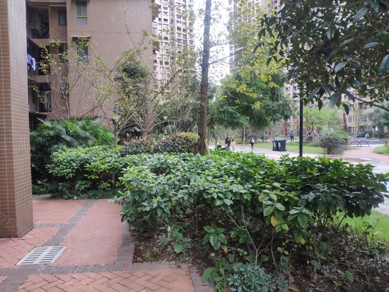 创兴城,汇南路,近古盐大道-自贡创兴城二手房,租房,房价-自贡安居客