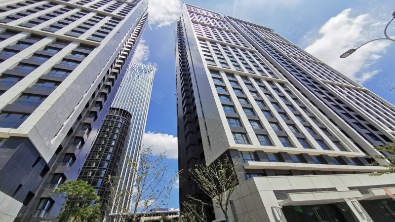 东方悦耀,高青西路667弄-上海东方悦耀二手房,租房,房价-上海安居客