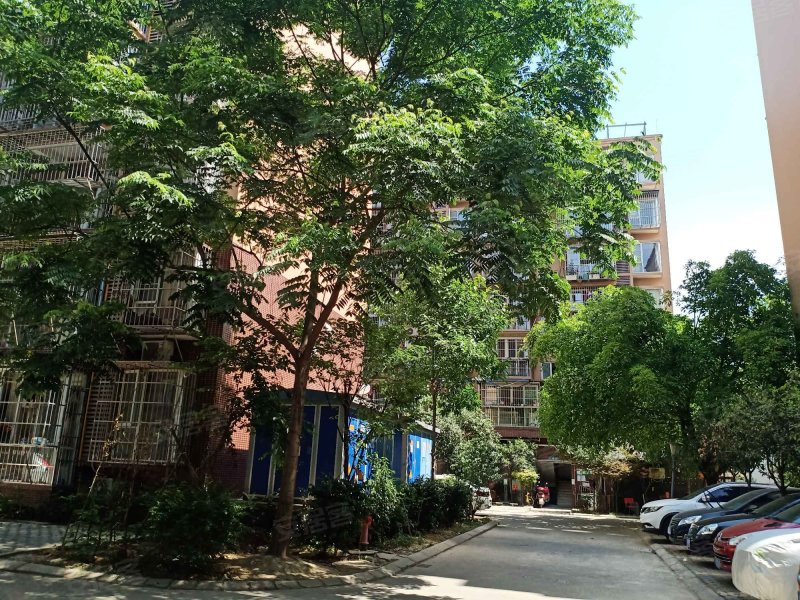 阳光地带(龙泉驿)