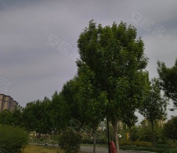 世界贸易中心大厦(商住楼)
