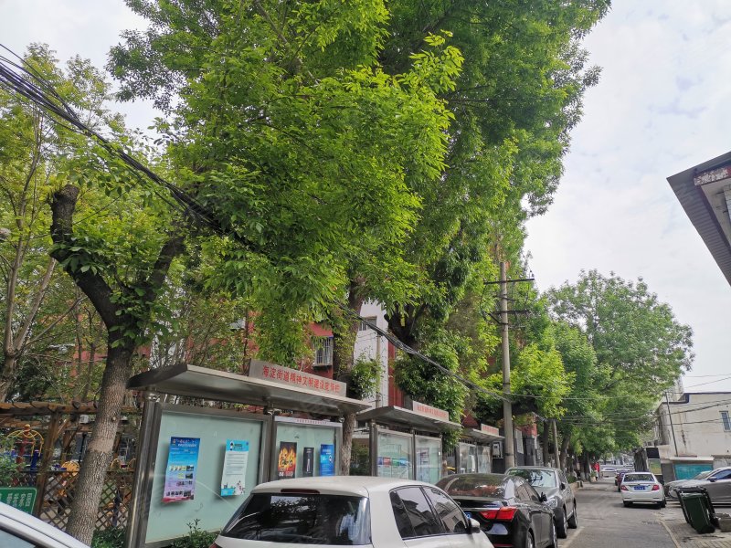 三义庙社区(北区),北三环西路-北京三义庙社区(北区)二手房,租房,房价