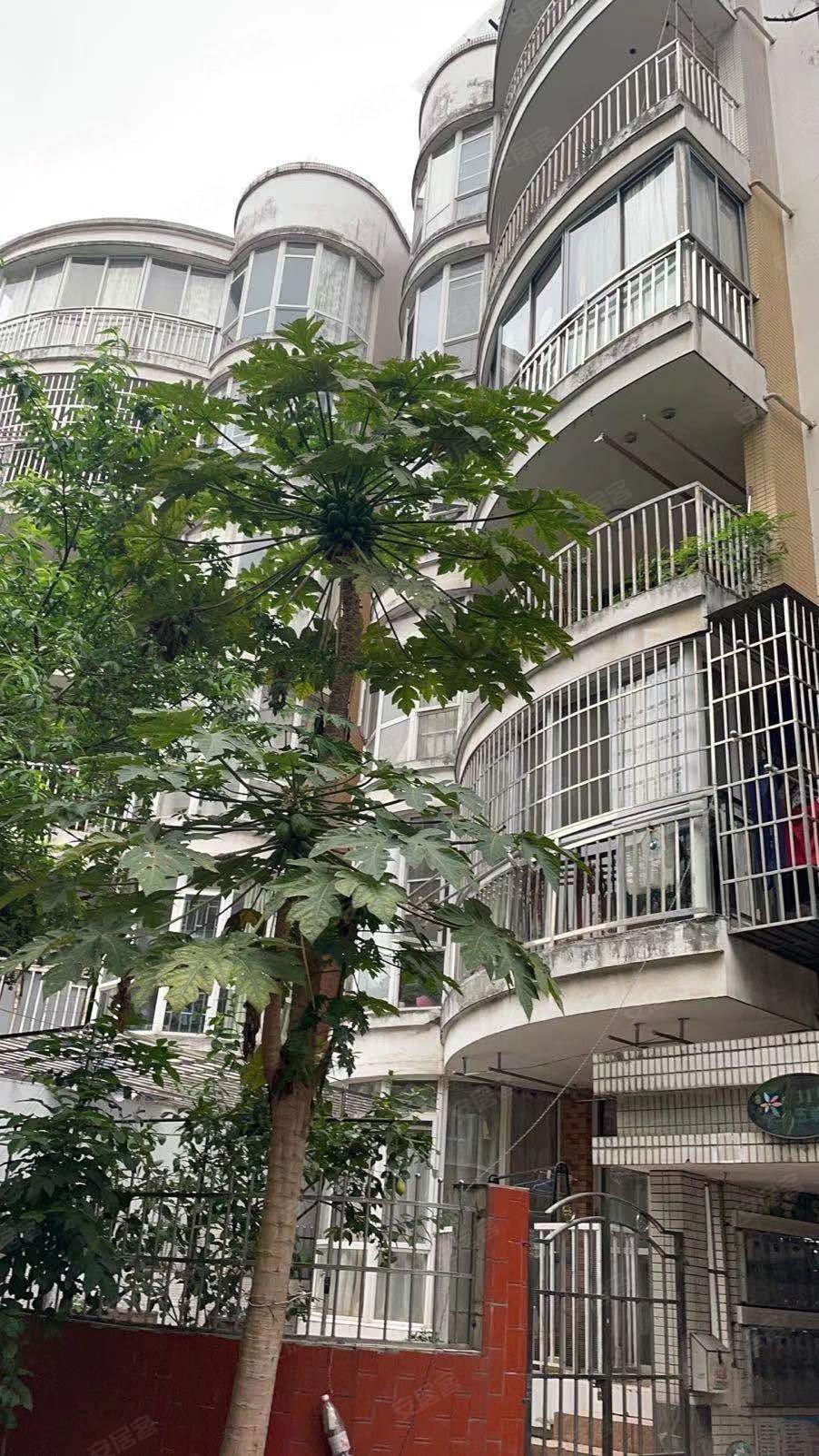 柳州房产网>柳州二手房>柳北二手房>锦绣二手房>康城>