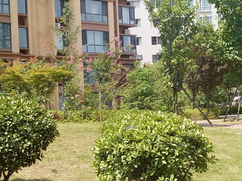 金桥水岸,滨河路2396号-南阳金桥水岸二手房,租房,房价-南阳安居客