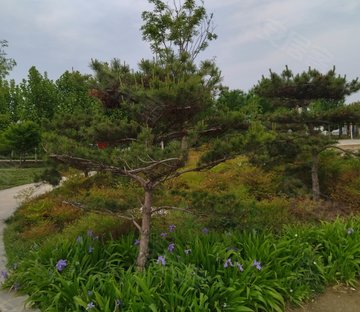 中山大街131号小区