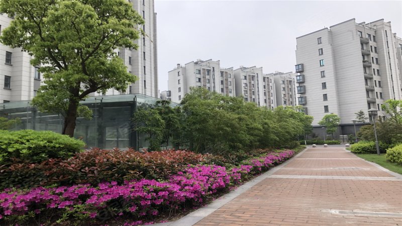 枫林湾,枫湾路-宁波枫林湾二手房,租房,房价-宁波安居客