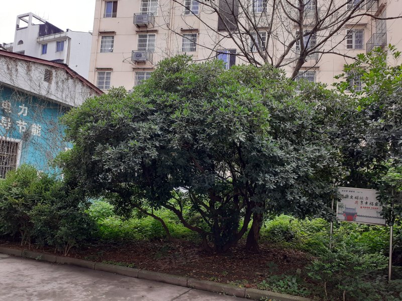 瓜渚湖商住楼