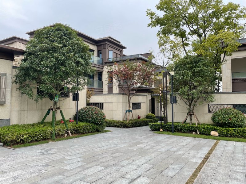 金科金辉美院(别墅)