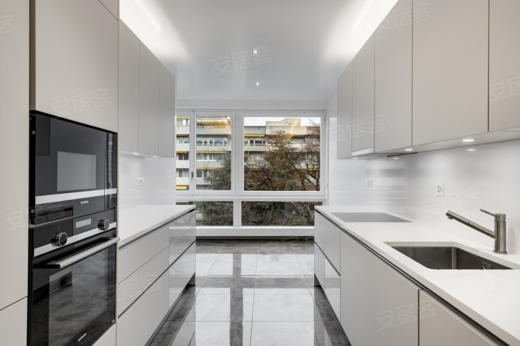 瑞士日内瓦州日内瓦约¥1757万非常好的豪华公寓完全装修与味道二手房公寓图片