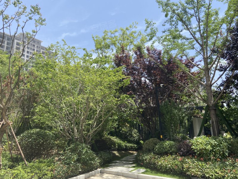 金沙国安府,学苑路-商丘金沙国安府二手房,租房,房价-商丘安居客