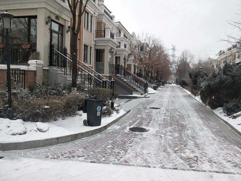 中海莱茵东郡(别墅)