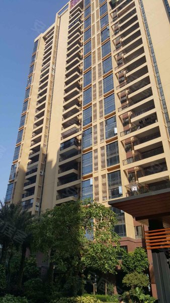 美立方花园,红星南路19号-佛山美立方花园二手房,租房,房价-佛山安居