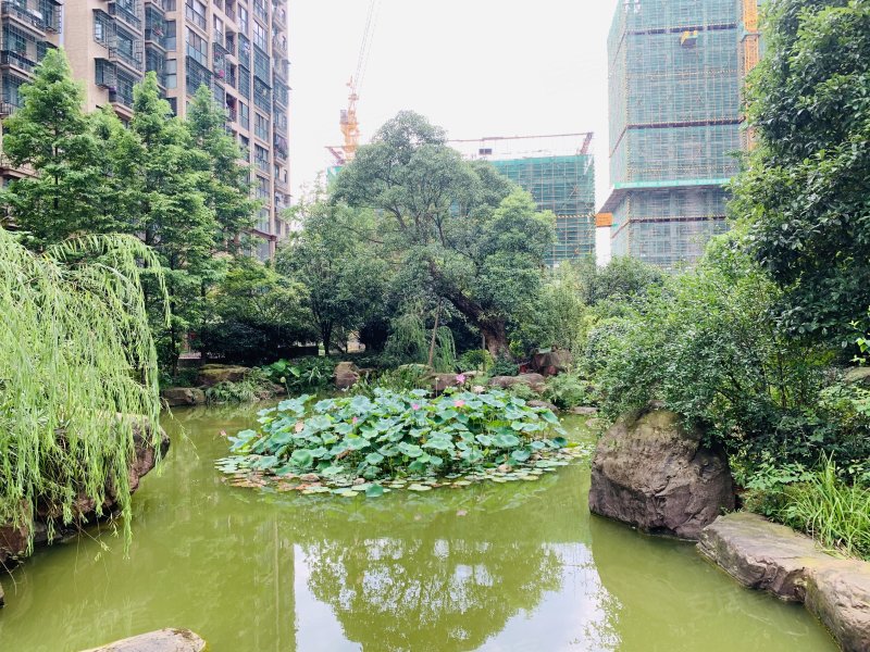克拉美丽山庄,友谊路958号-长沙克拉美丽山庄二手房,租房,房价-长沙