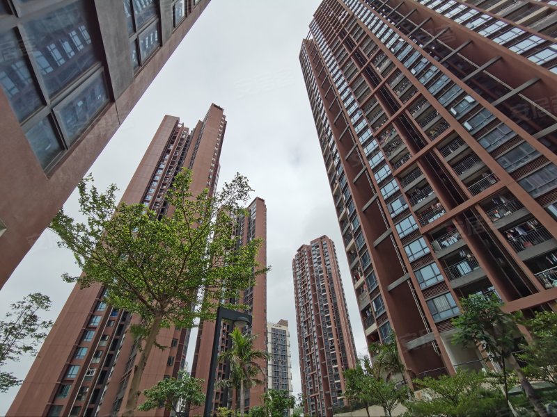 莲馨家园,国威路21号-深圳莲馨家园二手房,租房,房价-深圳安居客