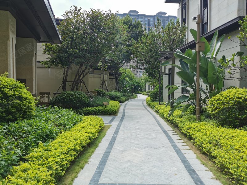 龙光御海天禧(别墅)