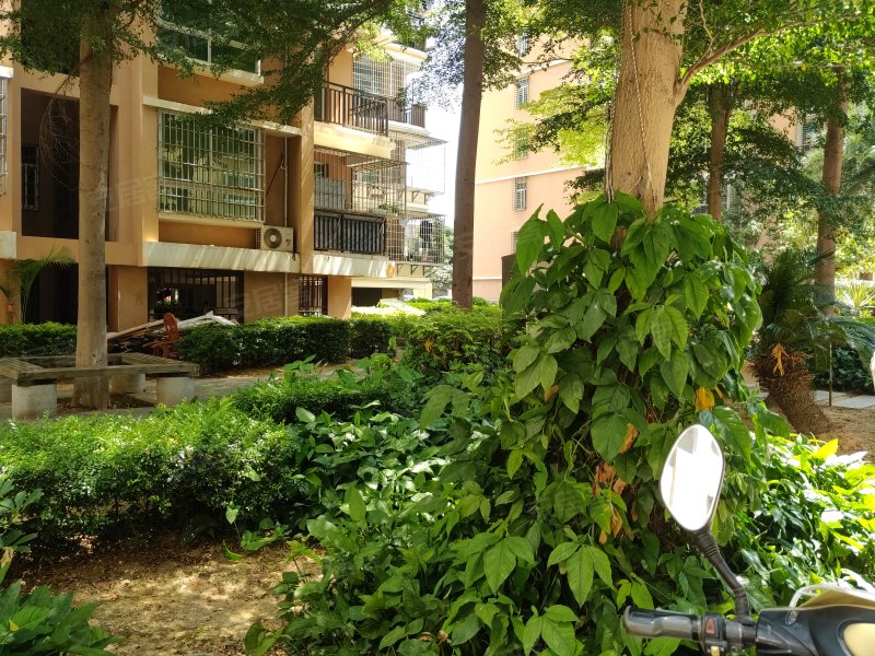 嘉盛花园(湖里),江头东里1-11号-厦门嘉盛花园(湖里)二手房,租房,房价