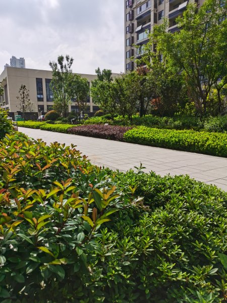 中南珑悦,梁红玉路-淮安中南珑悦二手房,租房,房价-淮安安居客