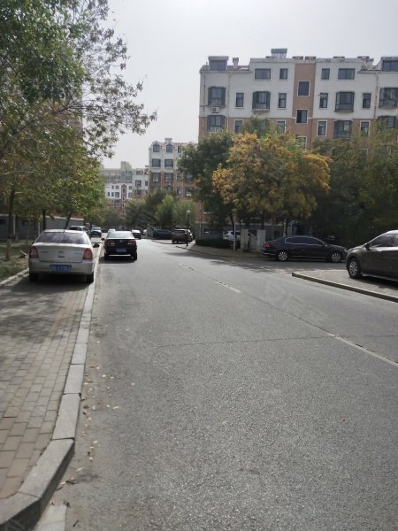 丽景国际(南区),大渡河路507号-东营丽景国际(南区)二手房,租房,房价