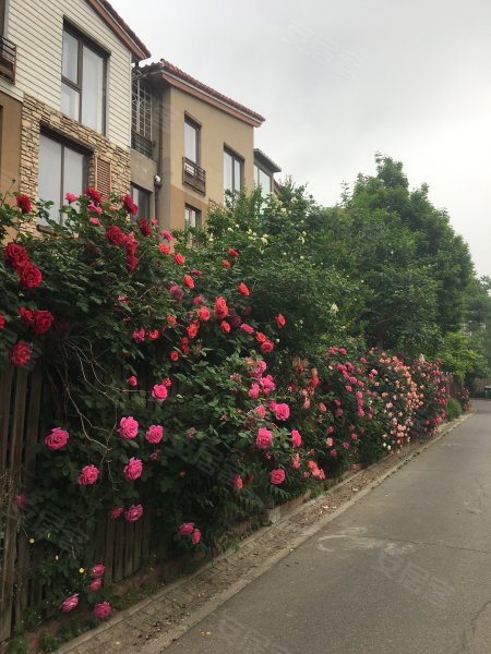 中海安德鲁斯庄园(东区)