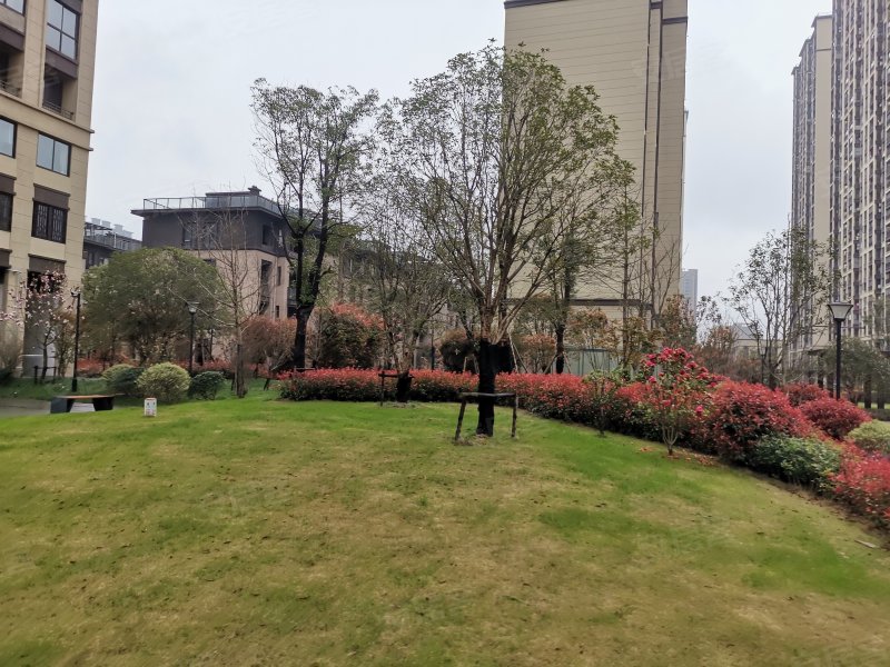 祥生金麟府,学士路,近南陵路-芜湖祥生金麟府二手房,租房,房价-芜湖