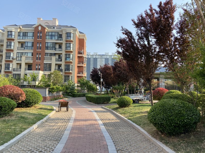 奥德紫荆城,北京东路,近孝友路-临沂奥德紫荆城二手房,租房,房价-临沂