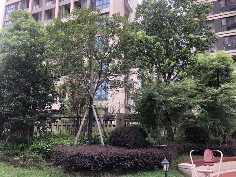 嘉宝梦之缘景庭(东区) 