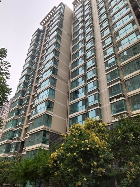 鑫盛城市风景