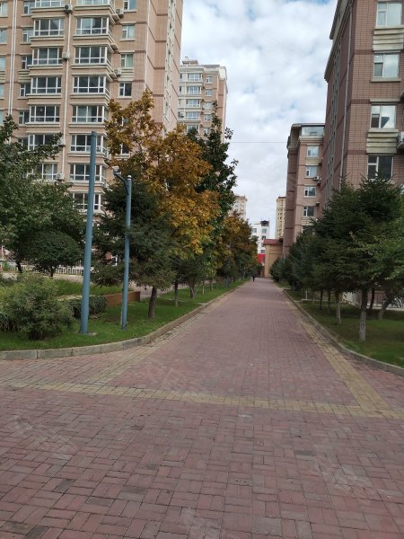 金钻第一城,乌兰大街3341号(旧:沿江街)-松原金钻第一城二手房,租房