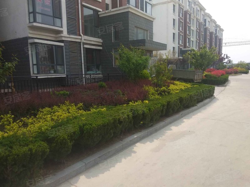 阳光丽景(蓬莱)