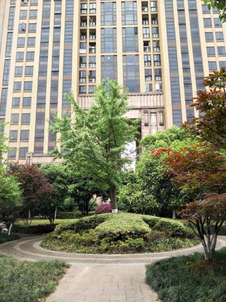 梧桐公寓(西湖)