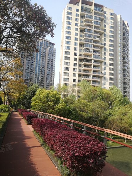 仁恒河滨城(三期),丁香路1299弄-上海仁恒河滨城(三期)二手房,租房