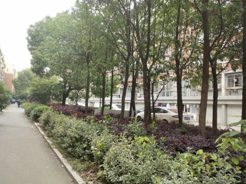 碧溪花园,康乐路,近花园路 - 马鞍山碧溪花园二手房,租房,房价-马鞍山