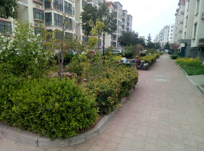 锦绣花园(罗庄)