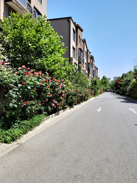 中海安德鲁斯庄园(西区)