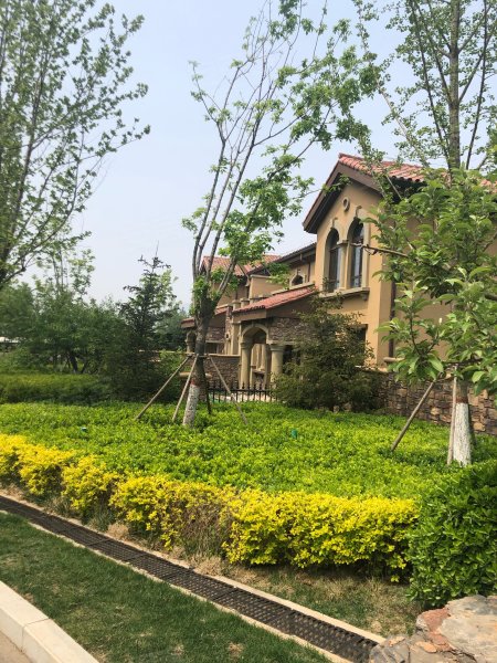 天业悦山湖(别墅),朝阳北大街-保定天业悦山湖(别墅)二手房,租房,房价