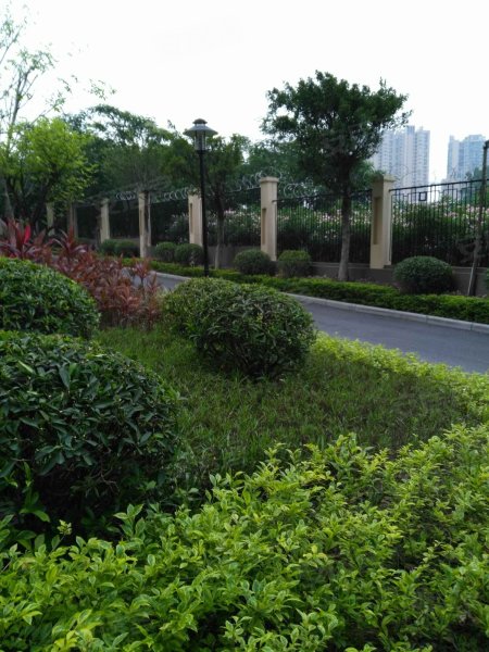保利塞纳维拉,龙溪中路与江北路交汇处|香榕街-广州保利塞纳维拉二手
