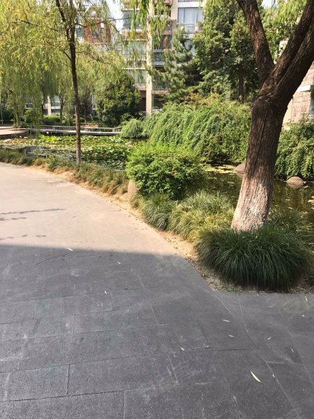 众安山水苑(东区),蜀山路-杭州众安山水苑(东区)二手房,租房,房价