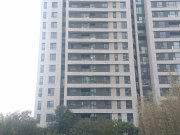 东润泰和 满五 正规商品房 带电梯 临地铁 交通便捷