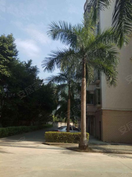 春晖苑,博罗大道-长沙春晖苑二手房,租房,房价-长沙安居客