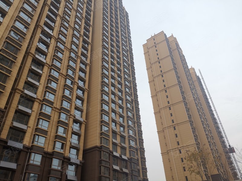 望族公馆,香山路66号-莱芜望族公馆二手房,租房,房价-莱芜安居客