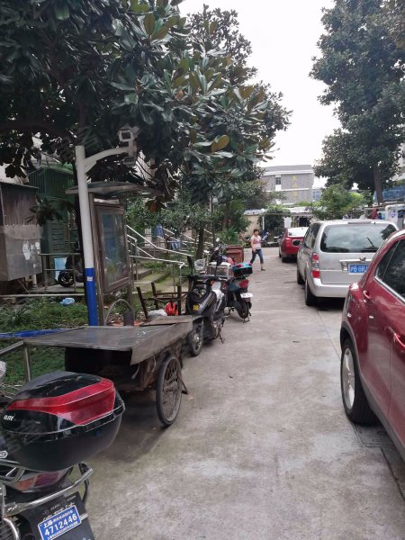 浦三路630弄小区 