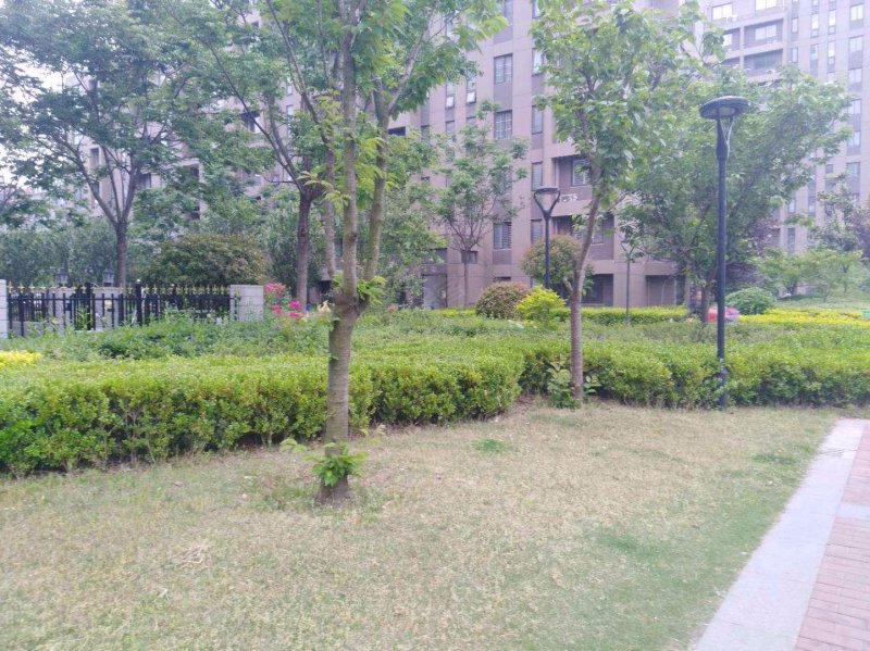 中央华庭,文化路-郯城中央华庭二手房,租房,房价-郯城安居客