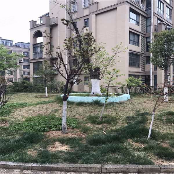 山景叠院,文化路62号-新泰山景叠院二手房,租房,房价-新泰安居客