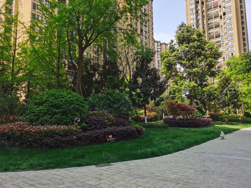 万峰城a区依云谷