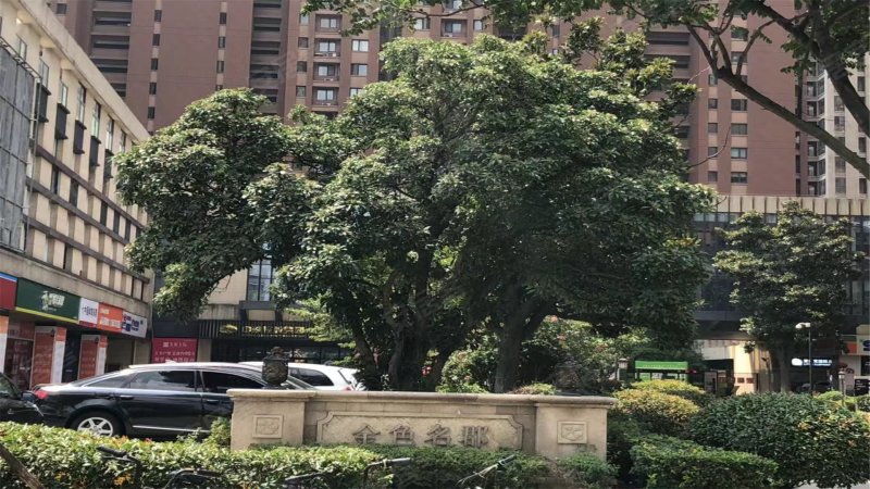 万科金色名郡(商住楼),望江西路205号-合肥万科金色名郡(商住楼)二手