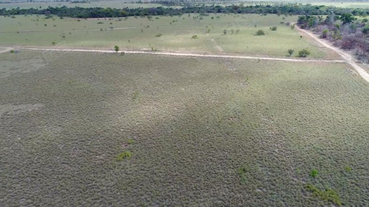 巴西约¥689万Plot of agricultural land for sale, 1040 hectares,二手房土地图片